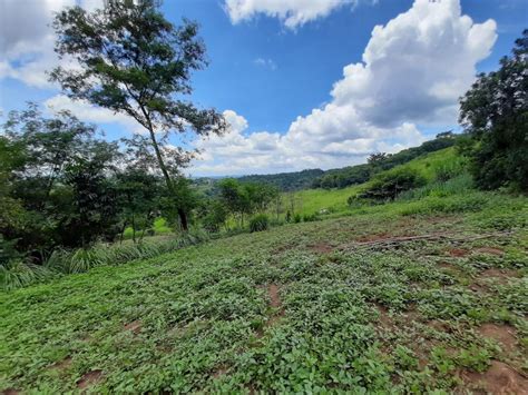 Agricultural Lot For Sale in Rizal .